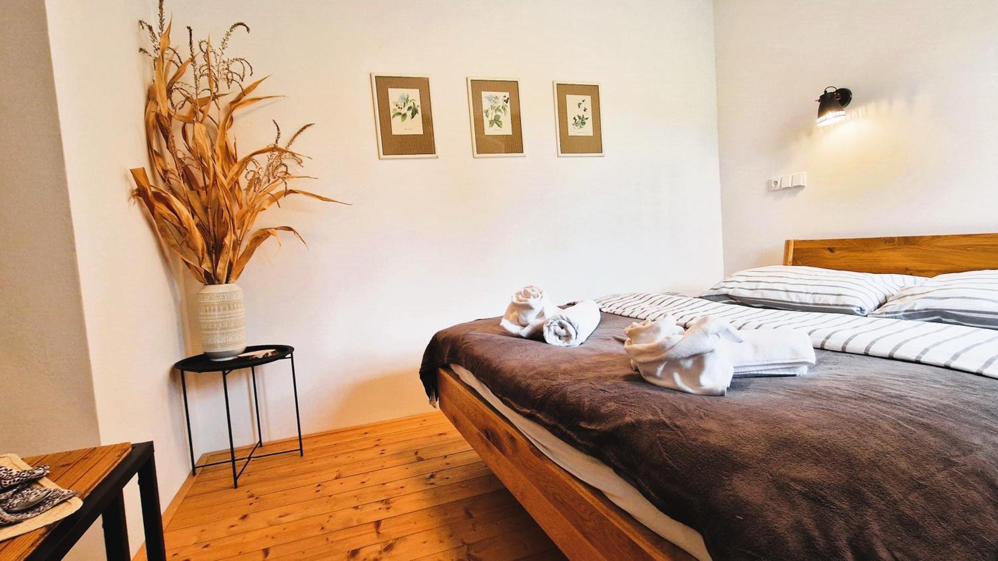 Apartmany Vcelin Brniste Buitenkant foto